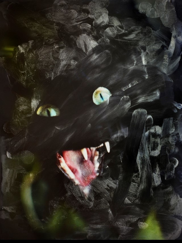 Tabitha Soren's Surface Tension