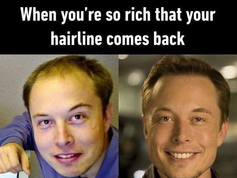 Elon musk meme
